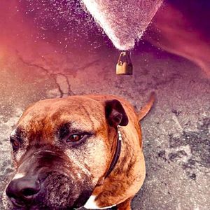 Meet your Posher, Chuck